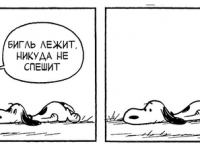 Превью выпуска №3652