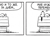 Превью выпуска №3703