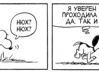 Превью выпуска №3732