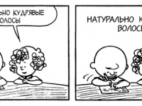 Превью выпуска №3750