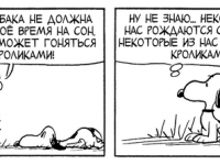 Превью выпуска №3786