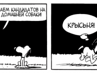 Превью выпуска №3797