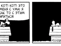 Превью выпуска №3817