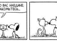 Превью выпуска №3822