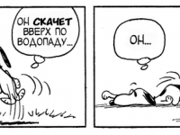 Превью выпуска №3969