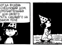 Превью выпуска №3982