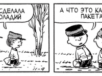 Превью выпуска №3991