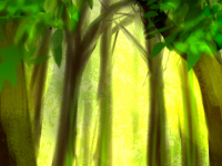 Превью выпуска №17