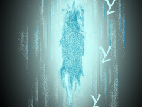 Превью выпуска №77