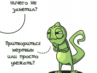 Превью выпуска №14