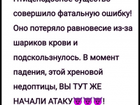 Превью выпуска №23