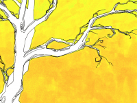 Превью выпуска №2