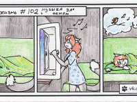 Превью выпуска №103