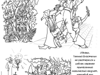 Превью выпуска №16