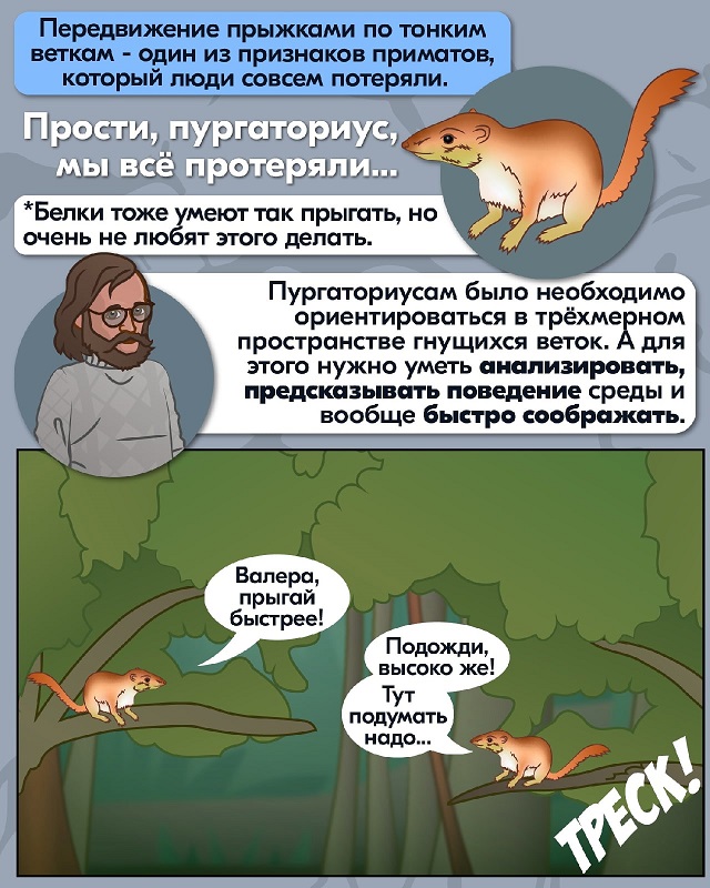 Приключения Дробышевского №2: Почти приматы