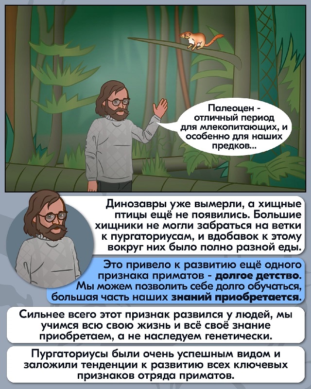 Приключения Дробышевского №2: Почти приматы