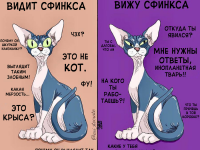 Превью выпуска №9