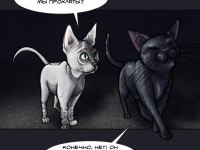 Превью выпуска №6