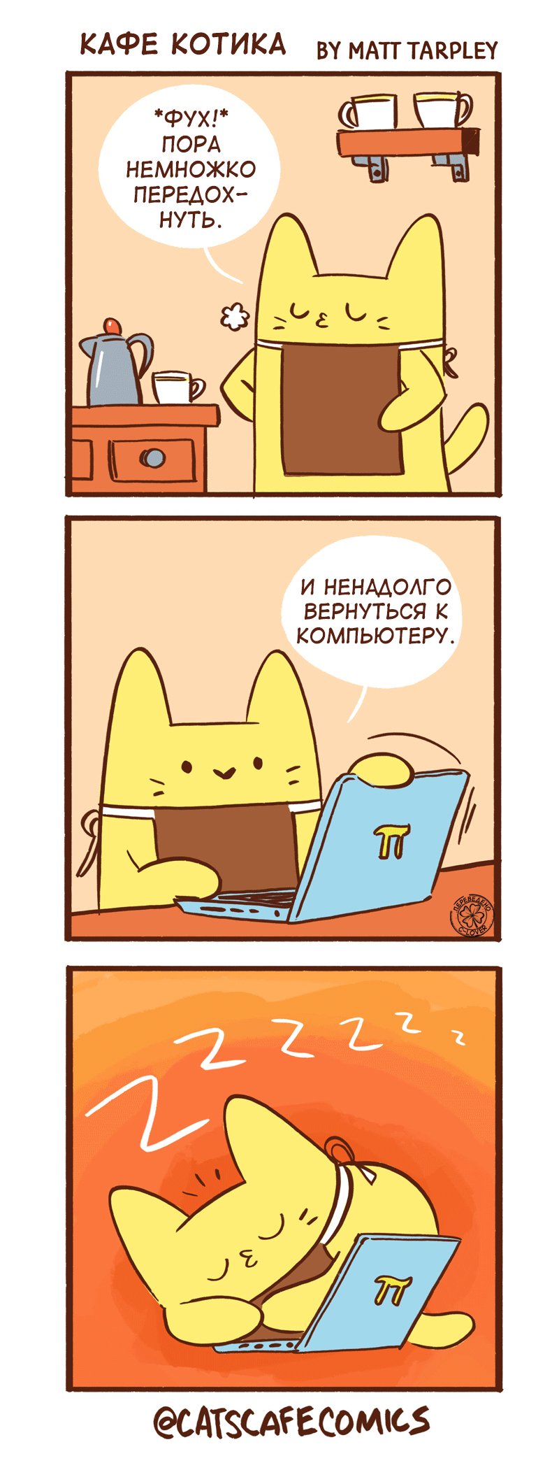 Котик пользуется компьютером.