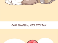 Превью выпуска №6