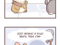 Превью выпуска №12