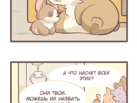 Превью выпуска №20