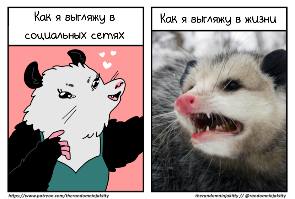 Комикс Комиксы Дре [Comics by Dre]: выпуск №230