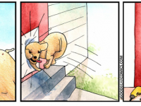 Превью выпуска №2