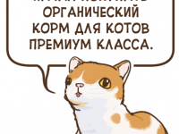 Превью выпуска №24