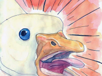 Превью выпуска №7