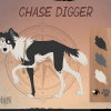 Чейз Диггер