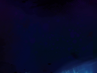 Превью выпуска №55