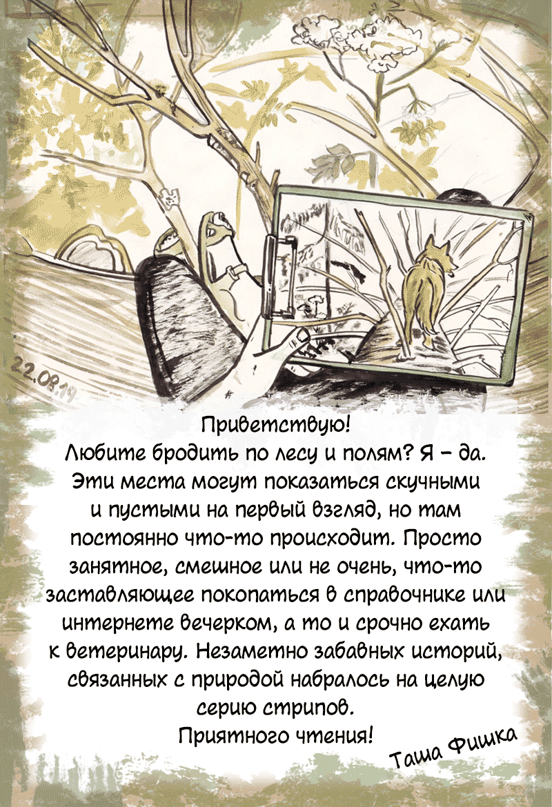 Предисловие