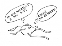 Превью выпуска №4