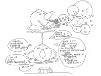 Превью выпуска №50