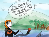 Превью выпуска №70