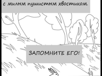 Превью выпуска №11