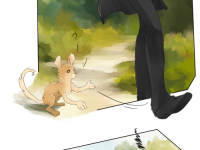 Превью выпуска №28