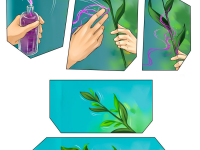 Превью выпуска №6