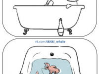 Превью выпуска №16