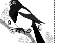 Превью выпуска №12