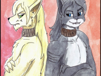 Превью выпуска №294