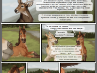 Превью выпуска №13