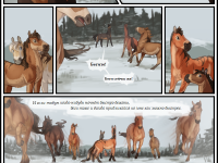 Превью выпуска №22