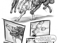 Превью выпуска №21