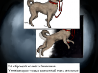 Превью выпуска №5
