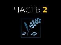 Превью выпуска №24