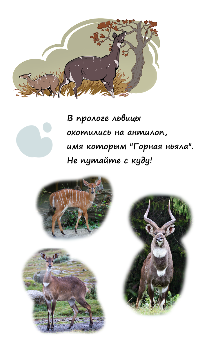 Комикс Её Величество: выпуск №63