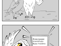 Превью выпуска №7