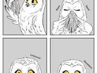 Превью выпуска №14